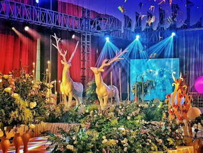 永城婚庆礼仪、演出与策划 一站式服务的魅力与专业之道